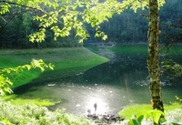 ������� ����� ������