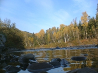 ���� ����