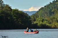 ���� ������� �������